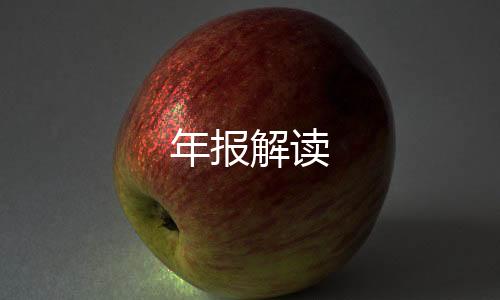 年報(bào)解讀