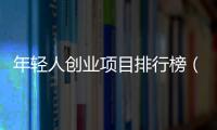 年輕人創業項目排行榜（年輕人創業項目）
