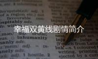 幸福雙黃線劇情簡介