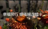 幸福同行 蝶依斕連續(xù)十年送溫暖