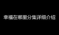幸福在哪里分集詳細介紹1