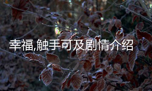 幸福,觸手可及劇情介紹（幸福觸手可及收劇情）