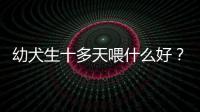 幼犬生十多天喂什么好？狗狗出生十幾天怎么養
