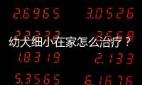 幼犬細小在家怎么治療？幼犬細小病毒在家怎么治療