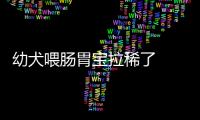 幼犬喂腸胃寶拉稀了  狗狗怎么喂腸胃寶