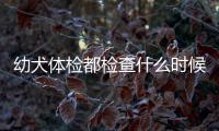 幼犬體檢都檢查什么時候做？幼犬 體檢