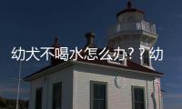 幼犬不喝水怎么辦?？幼犬不愛喝水正常嗎