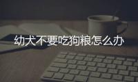 幼犬不要吃狗糧怎么辦