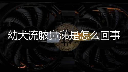 幼犬流膿鼻涕是怎么回事(幼犬流綠鼻涕是怎么回事)