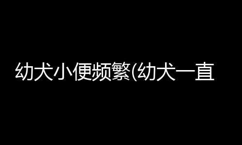 幼犬小便頻繁(幼犬一直小便怎么回事)