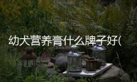 幼犬營養膏什么牌子好(幼犬吃多了營養膏有什么問題)
