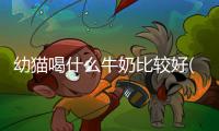 幼貓喝什么牛奶比較好(幼貓喝奶多少度合適)