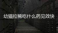 幼貓拉稀吃什么藥見效快(幼貓拉稀不吃東西怎么辦)