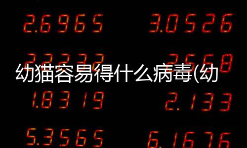 幼貓容易得什么病毒(幼貓最容易得什么病)