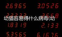 幼貓容易得什么病毒(幼貓最容易得什么病)
