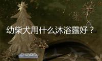 幼柴犬用什么沐浴露好？幼柴犬用什么沐浴露最好