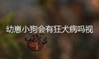 幼崽小狗會(huì)有狂犬病嗎視頻？幼犬會(huì)不會(huì)有狂犬病毒