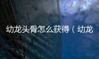 幼龍頭骨怎么獲得（幼龍頭骨一次能出幾個）