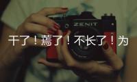 干了！蔫了！不長了！為了拯救海寧這1200畝蔬菜，菜農(nóng)拼了…