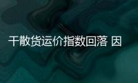 干散貨運價指數回落 因海岬型和小型船舶運費走低