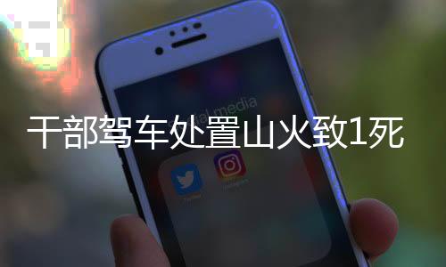 干部駕車(chē)處置山火致1死？沈陽(yáng)官方：涉事人員已停職接受調(diào)查