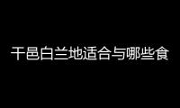 干邑白蘭地適合與哪些食物牽手成姻緣？