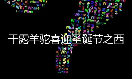干露羊駝喜迎圣誕節之西鄉天虹品鑒會