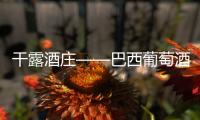 干露酒莊——巴西葡萄酒展會上那顆閃亮的星星