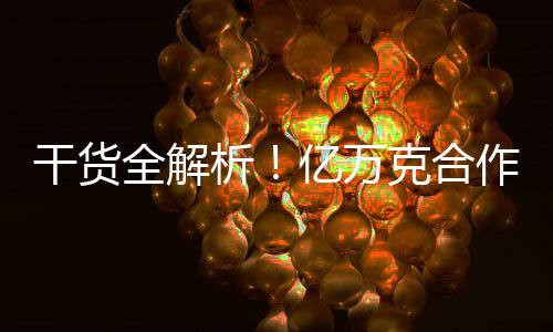 干貨全解析！億萬克合作伙伴大會