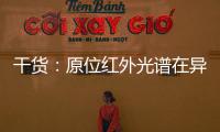 干貨：原位紅外光譜在異相催化中的應用 – 材料牛