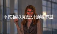 平南縣以黨建引領城市基層治理體系優化