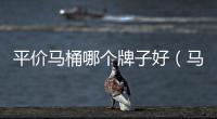 平價馬桶哪個牌子好（馬桶哪個牌子好）