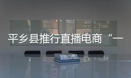 平鄉縣推行直播電商“一件事”集成服務