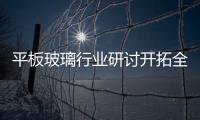 平板玻璃行業研討開拓全部市場,行業資訊