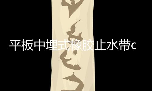 平板中埋式橡膠止水帶cp型300*6mm