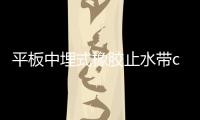 平板中埋式橡膠止水帶cp型300*6mm