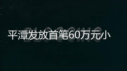 平潭發放首筆60萬元小微企業“稅易貸”