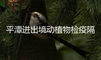 平潭進出境動植物檢疫隔離中心啟用 66只南非長頸鹿來做客