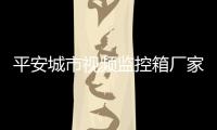 平安城市視頻監控箱廠家定做今日報價