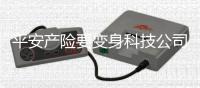 平安產(chǎn)險(xiǎn)要變身科技公司
