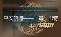 平安昭通——“宣”出特色 “法”入人心