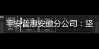 平安普惠安徽分公司：堅持黨建引領 做實“普惠金融”