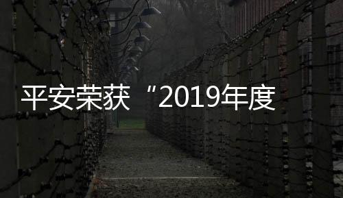 平安榮獲“2019年度杰出董事”兩項大獎