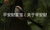 平安財(cái)富寶（關(guān)于平安財(cái)富寶的基本情況說明介紹）
