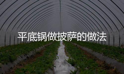平底鍋做披薩的做法