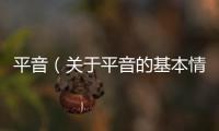 平音（關(guān)于平音的基本情況說明介紹）