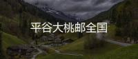 平谷大桃郵全國