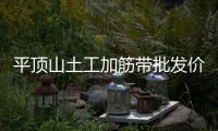 平頂山土工加筋帶批發(fā)價(jià)格