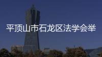 平頂山市石龍區法學會舉行法治宣傳活動