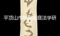 平頂山市婚姻家庭法學研究會2020工作年會召開